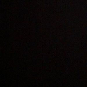 Meet your Posher, Eva